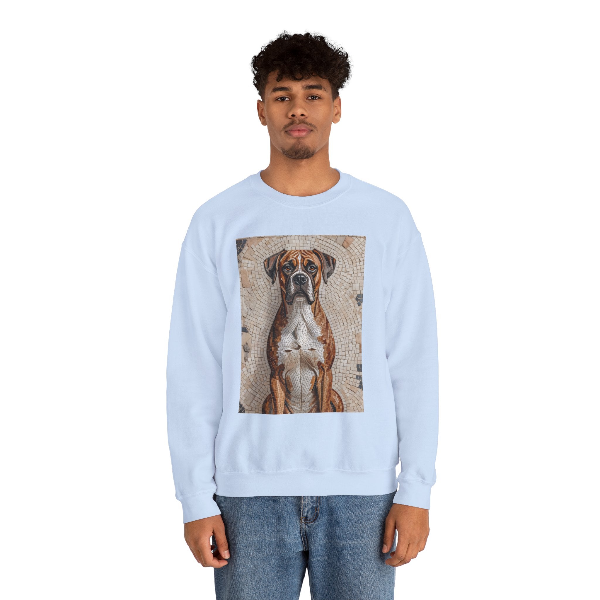 Boxer Sweatshirt | Living Work of Art Collection | Mosaic Style