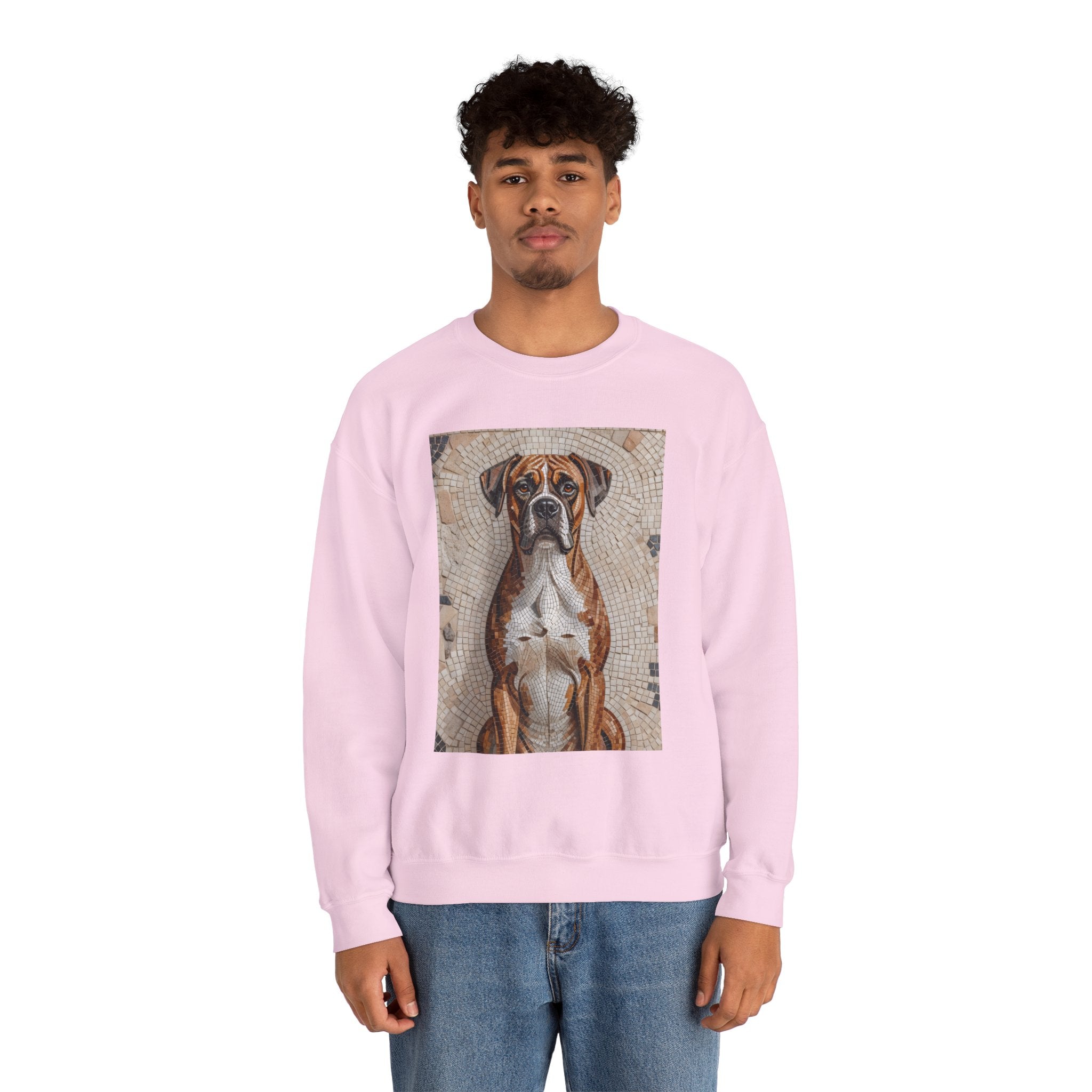 Boxer Sweatshirt | Living Work of Art Collection | Mosaic Style